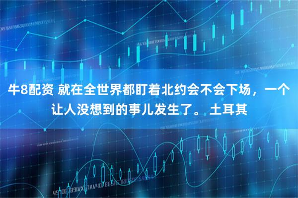 牛8配资 就在全世界都盯着北约会不会下场,一个让人没想到的事儿发生了。 土耳其