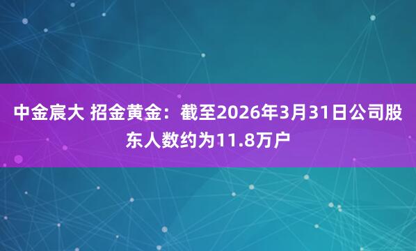 中金宸大 招金黄金：截至2026年3月31日公司股东人数约为11.8万户