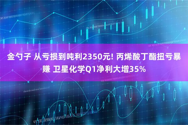金勺子 从亏损到吨利2350元! 丙烯酸丁酯扭亏暴赚 卫星化学Q1净利大增35%