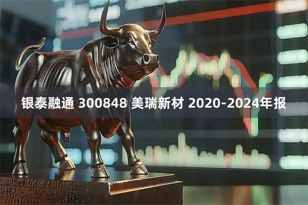银泰融通 300848 美瑞新材 2020-2024年报