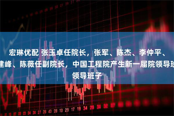 宏琳优配 张玉卓任院长，张军、陈杰、李仲平、陈建峰、陈薇任副院长，中国工程院产生新一届院领导班子