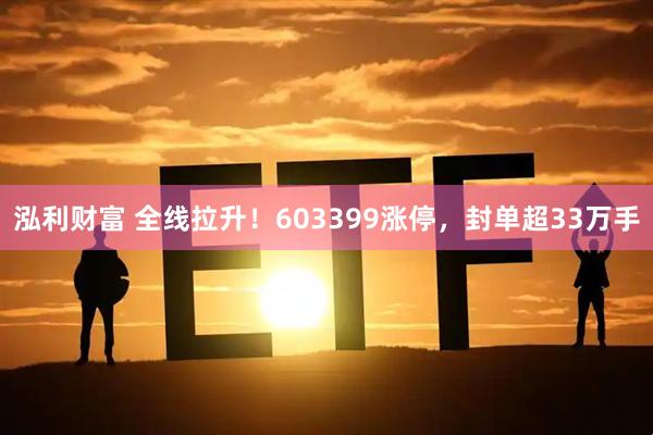 泓利财富 全线拉升！603399涨停，封单超33万手